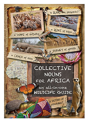 Collective Nouns for Africa