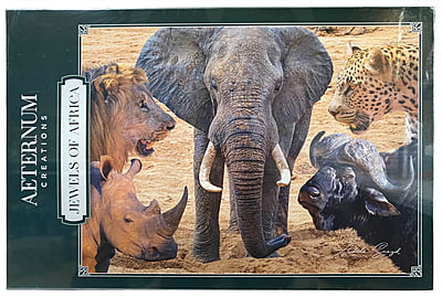 Jewels of Africa Puzzle